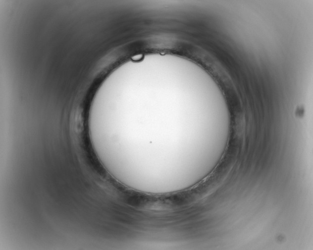 X0000103330731200809192204