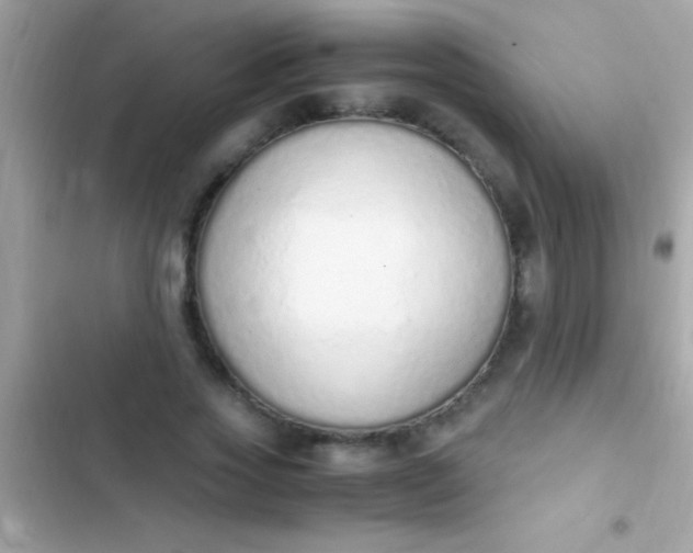 X0000103330733200809192204