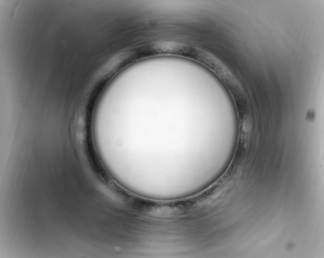 X0000103330734200809192204