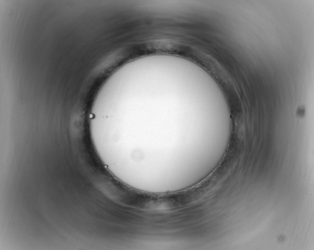 X0000103330735200809192204