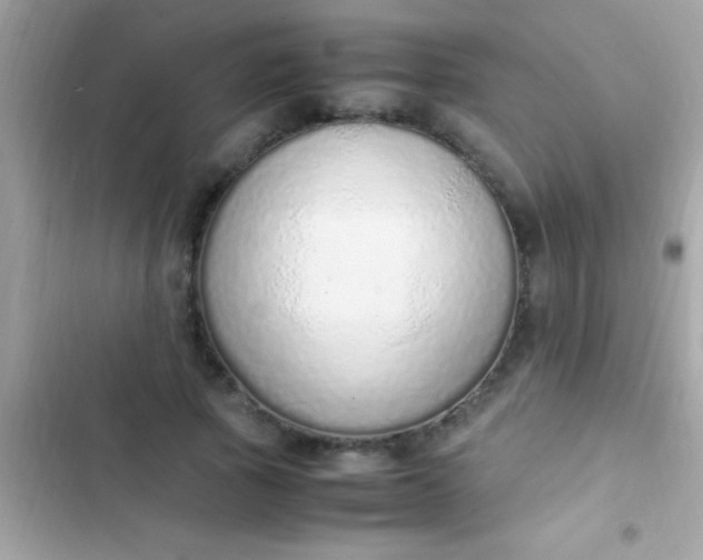 X0000103330737200809192204