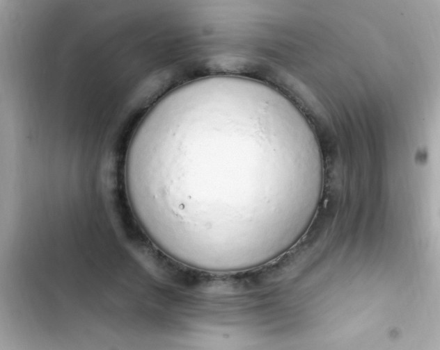 X0000103330738200809192204