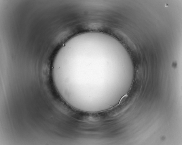 X0000103330739200809192204