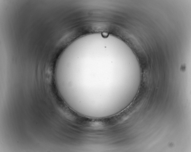 X0000103330741200809192204