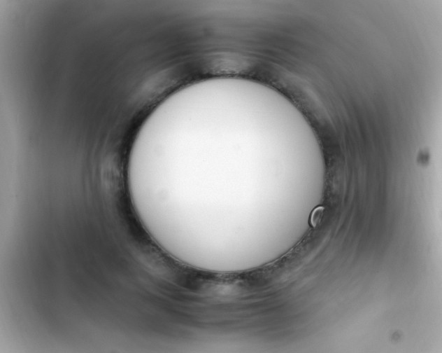 X0000103330743200809192204