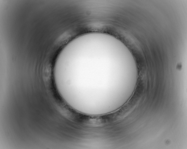 X0000103330744200809192204