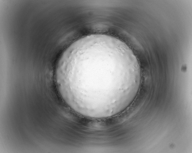 X0000103330745200809192204