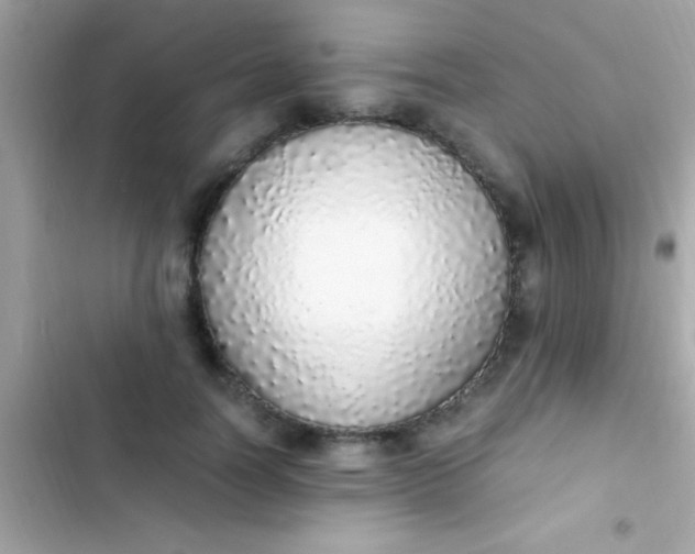 X0000103330746200809192204