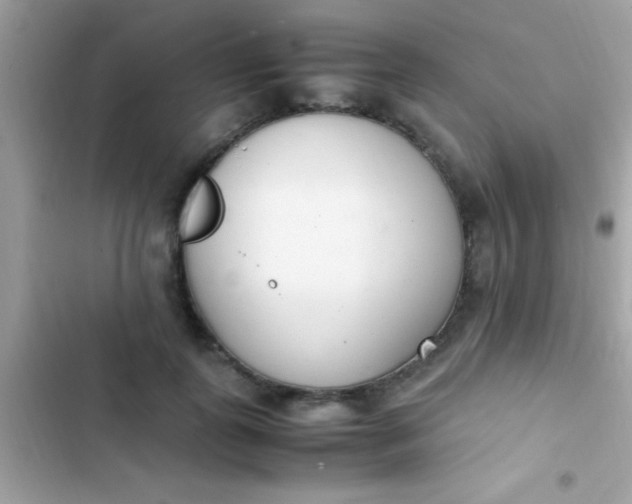 X0000103330747200809192204