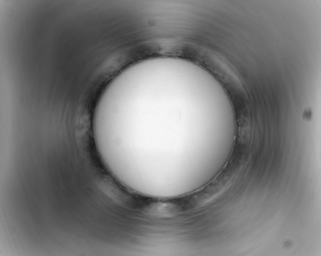 X0000103330748200809192204