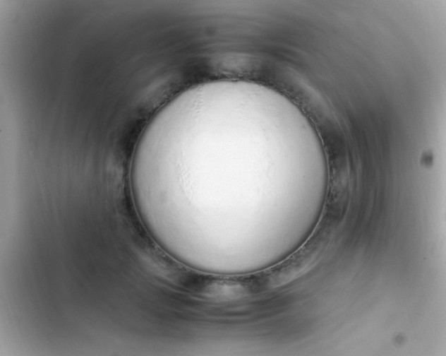 X0000103330749200809192204