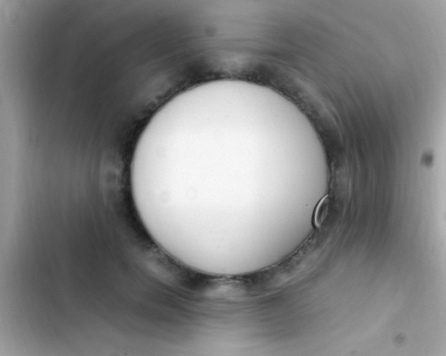 X0000103330750200809192204