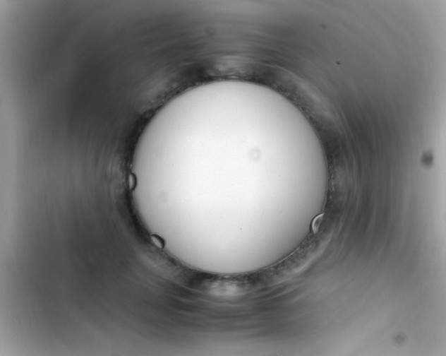 X0000103330751200809192204