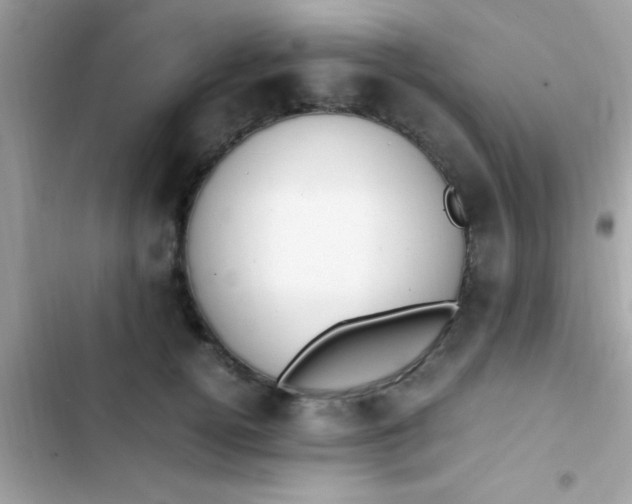 X0000103330752200809192204