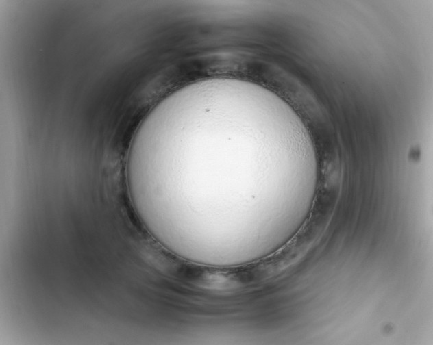 X0000103330753200809192204