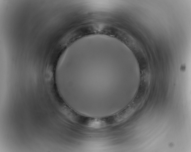 X0000103330754200809192204