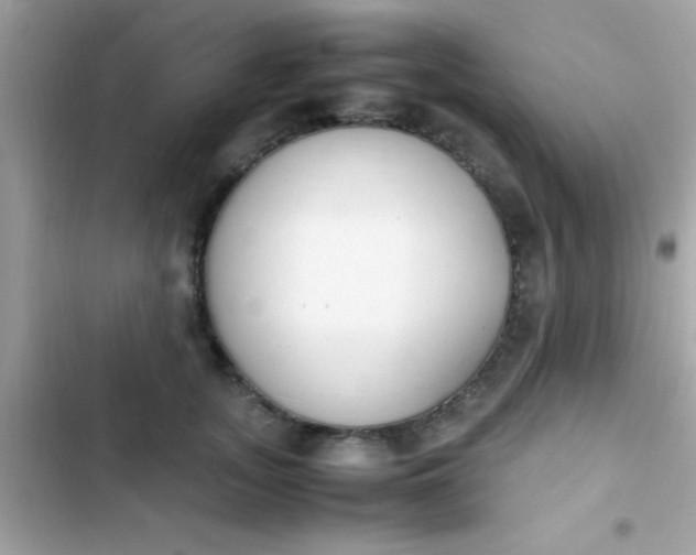 X0000103330755200809192204