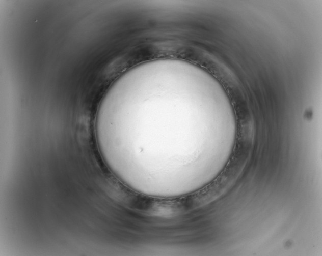 X0000103330757200809192204