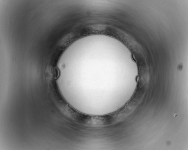 X0000103330758200809192204