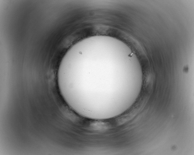 X0000103330759200809192204