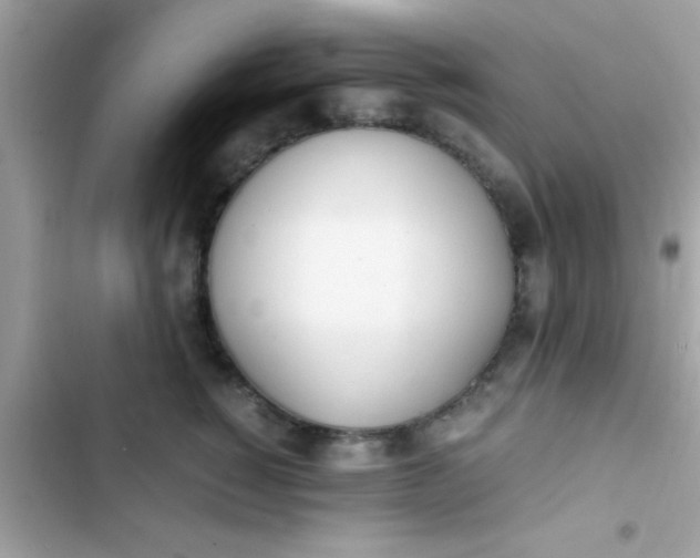 X0000103330760200809192204