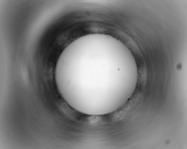 X0000103330762200809192204