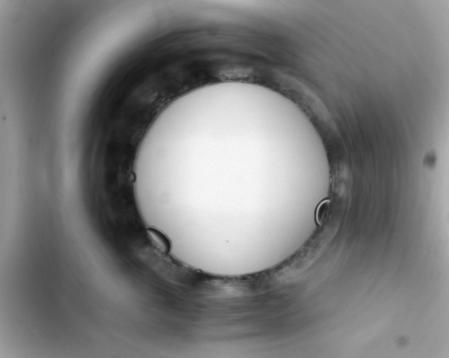 X0000103330763200809192204