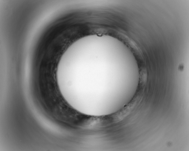 X0000103330764200809192204