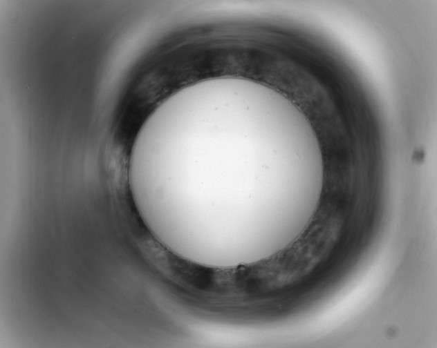 X0000103330766200809192204