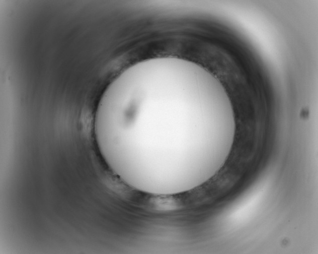 X0000103330767200809192204