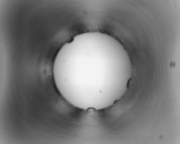 X0000103330768200809192204