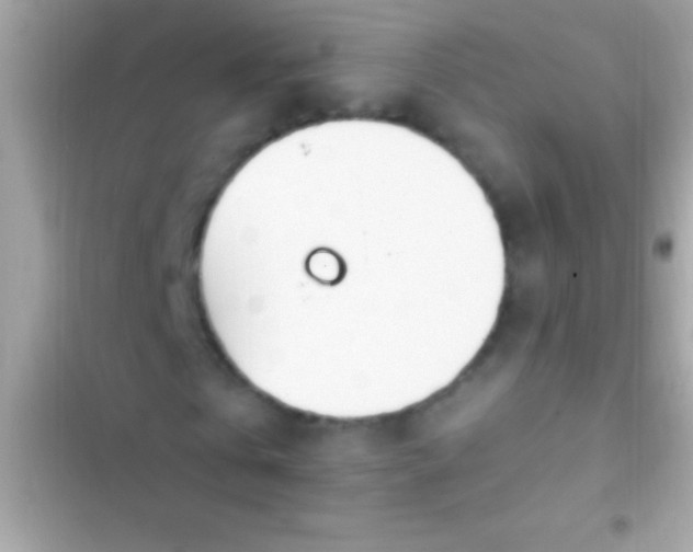 X0000103330769200809192204