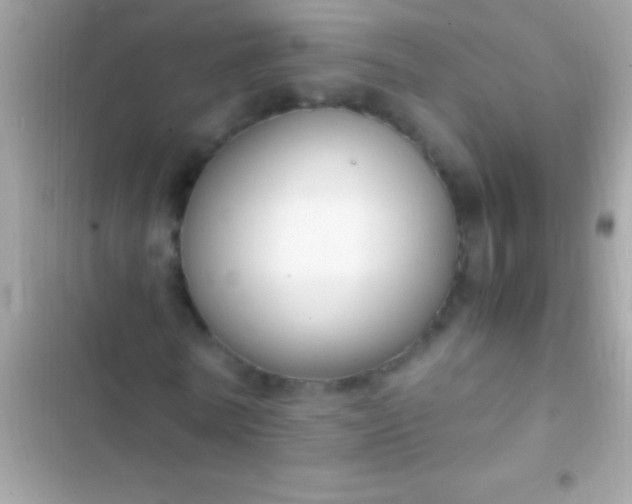 X0000103330770200809192204