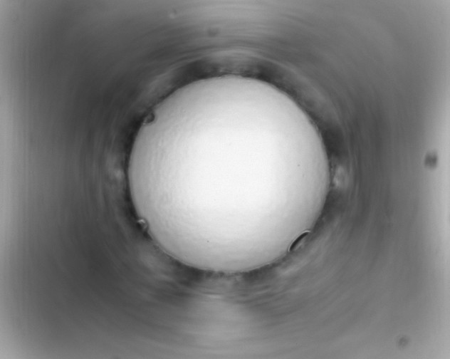 X0000103330771200809192203