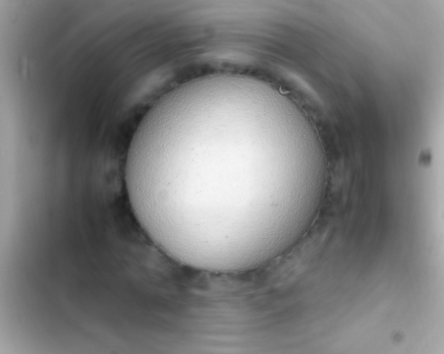 X0000103330774200809192203