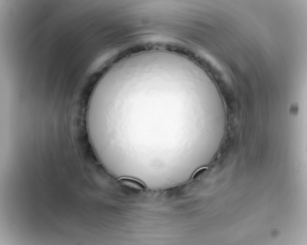 X0000103330775200809192203