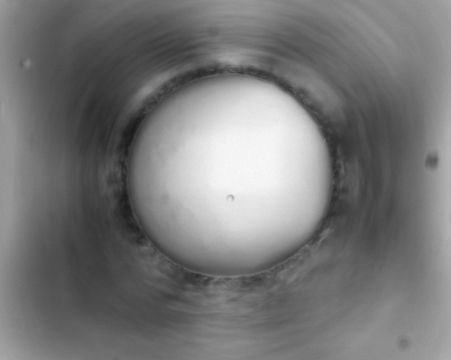 X0000103330776200809192203