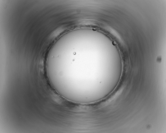 X0000103330777200809192203