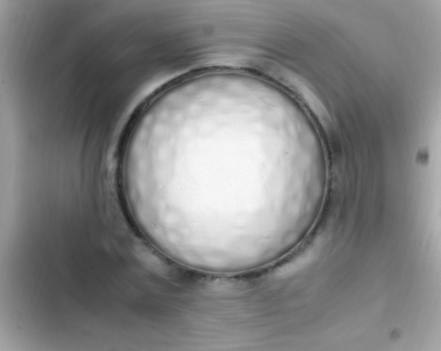 X0000103330779200809192203