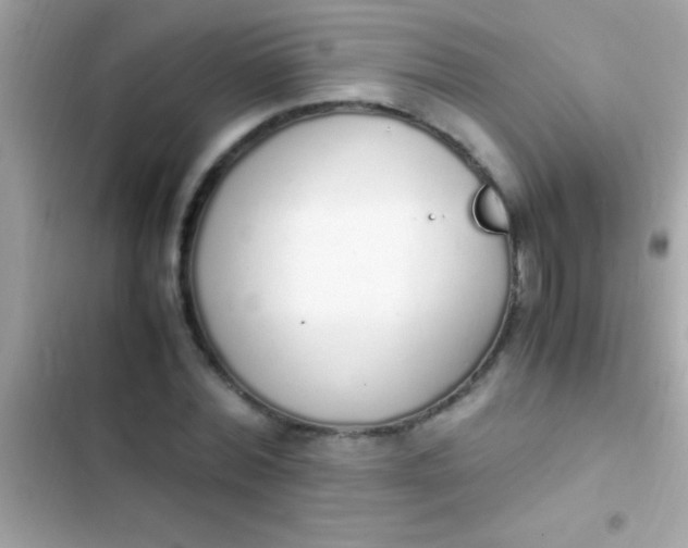 X0000103330780200809192203