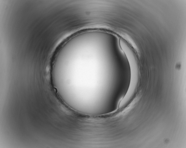 X0000103330781200809192203