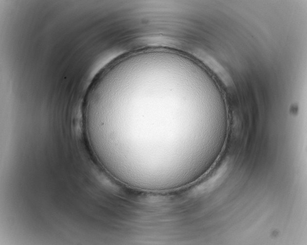 X0000103330782200809192203