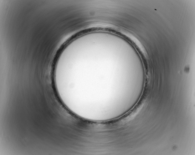 X0000103330783200809192203