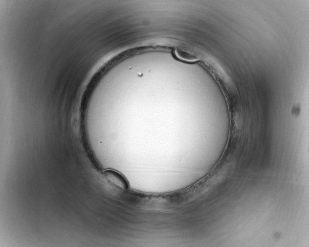 X0000103330784200809192203