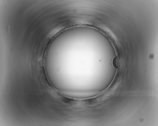 X0000103330785200809192203