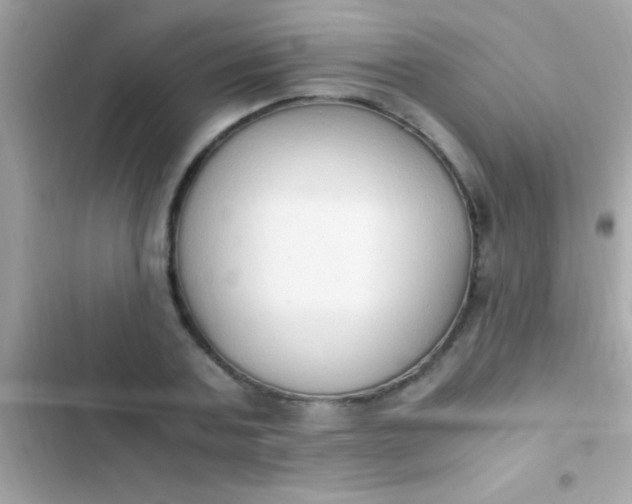 X0000103330787200809192203