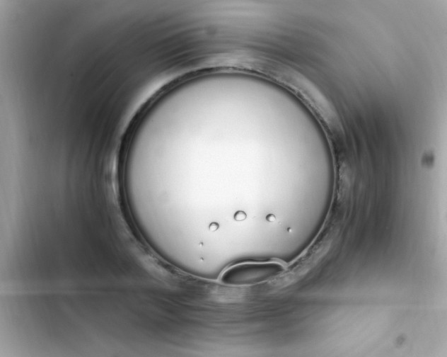 X0000103330788200809192203