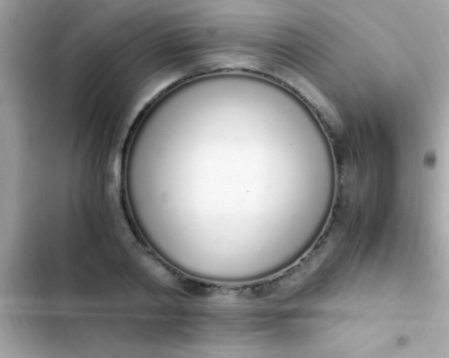 X0000103330790200809192203