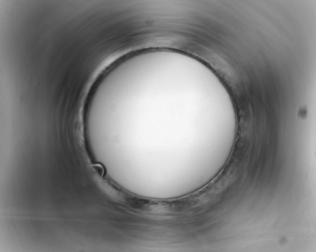 X0000103330792200809192203