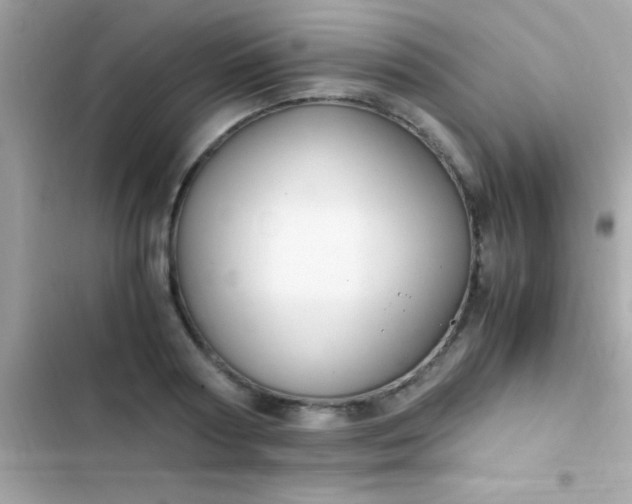 X0000103330794200809192203